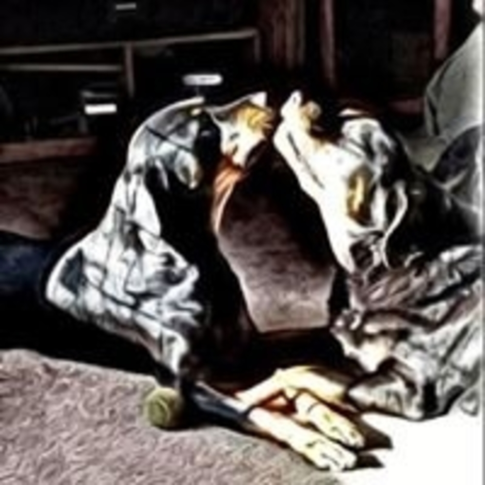 Meet your Posher, Trisha